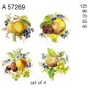 A57269 CLASSIC FRUITS CENTRES