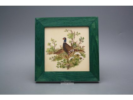 Obrázek 20x20cm Bažant eZLB č. 1
