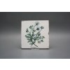 Sada obkladů Forli Blanco 15x15cm 6dílná Herbs č. 6