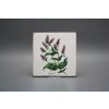 Sada obkladů Forli Blanco 15x15cm 6dílná Herbs č. 2