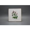 Sada obkladů Forli Blanco 20x20cm 6dílná Herbs č. 6
