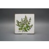 Sada obkladů Forli Blanco 15x15cm 6dílná Herbs Classic č. 5