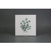 Sada obkladů 20x20cm 6dílná Herbs WM č. 5