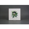 Sada obkladů 20x20cm 6dílná Herbs WM č. 4