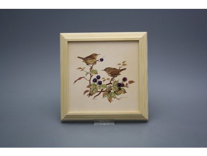 Obrázek 18x18cm Střízlík kPBB č. 1