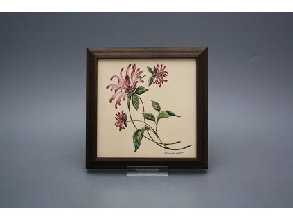 Obrázek 18x18cm Herbs kTHB č. 1