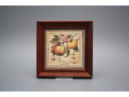 Obrázek 19,5x19,5cm Fruta cMHB č. 1