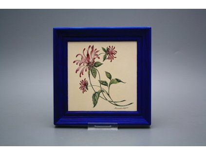 Obrázek 19,5x19,5cm Herbs cMOB č. 1