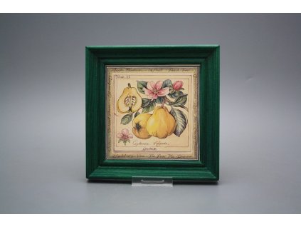 Obrázek 19,5x19,5cm Fruta cZLB č. 1