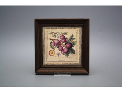 Obrázek 19,5x19,5cm Fruta cTHB č. 1