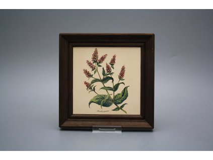 Obrázek 19,5x19,5cm Herbs cTHB č. 1