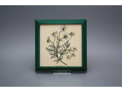 Obrázek 18x18cm Herbs kZLB č. 1