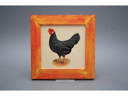 Obrázek 20x20cm Slepičky eCMB č. 1