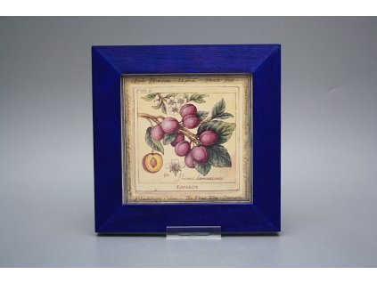 Obrázek 20x20cm Fruta eMOB č. 1