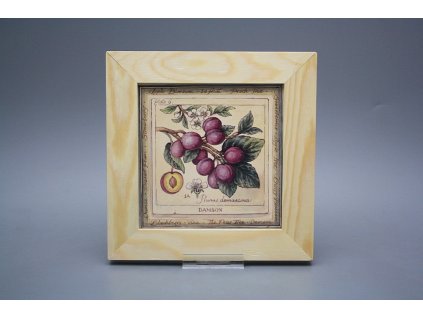 Obrázek 20x20cm Fruta ePBB č. 1