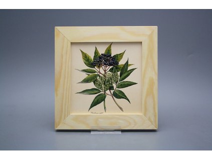 Obrázek 20x20cm Herbs ePBB č. 1