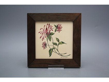 Obrázek 20x20cm Herbs eTHB č. 1