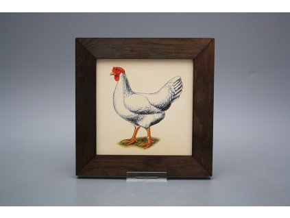 Obrázek 20x20cm Slepičky eTHB č. 1