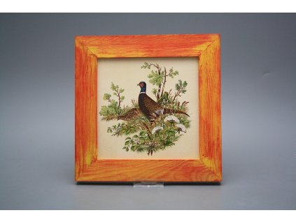 Obrázek 20x20cm Bažant eCMB č. 1