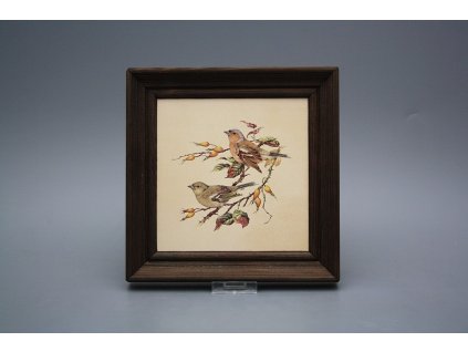 Obrázek 19,5x19,5cm Pěnkava cTHB č. 1