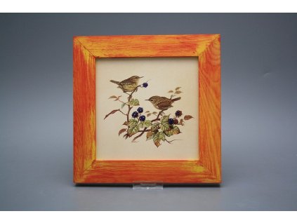 Obrázek 20x20cm Střízlík eCMB č. 1