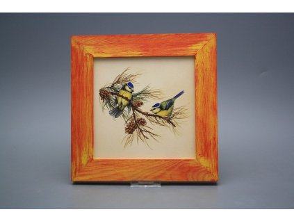 Obrázek 20x20cm Sýkorka eCMB č. 1