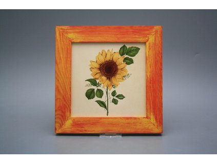 Obrázek 20x20cm Slunečnice eCMB č. 1