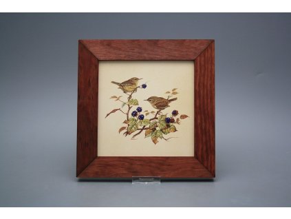 Obrázek 20x20cm Střízlík eMHB č. 1