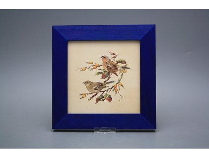 Obrázek 20x20cm Pěnkava eMOB č. 1