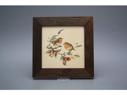 Obrázek 20x20cm Červenka eTHB č. 1