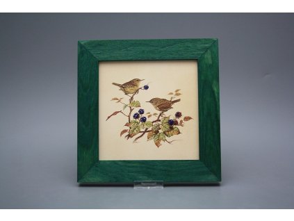 Obrázek 20x20cm Střízlík eZLB č. 1