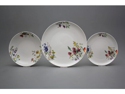 Talířová souprava Tom Kvetoucí louka 24dílná CBB č. 1