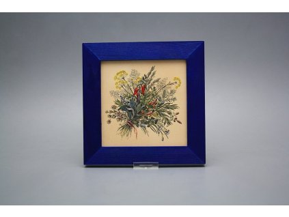 Obrázek 20x20cm Česká kuchyně eMOB B č. 1