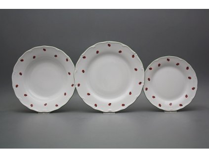 Talířová souprava Verona Berušky 36dílná AZL č. 1