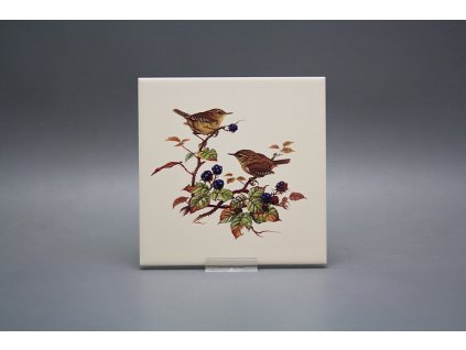 Obklad 15x15cm Střízlík LBM č. 1