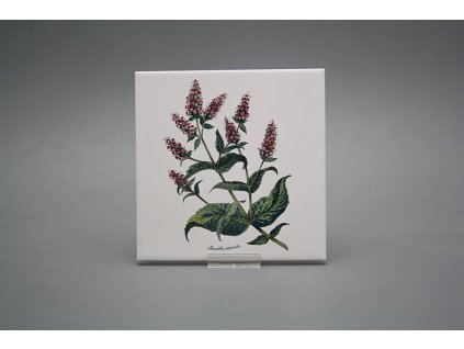 Sada obkladů 15x15cm 6dílná Herbs WL č. 1