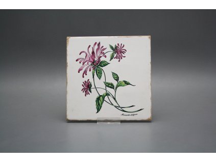 Sada obkladů Forli Blanco 15x15cm 6dílná Herbs č. 1