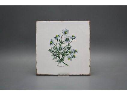 Sada obkladů Forli Blanco 20x20cm 6dílná Herbs č. 1