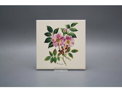 Sada obkladů 15x15cm 6dílná Herbs LBM č. 1