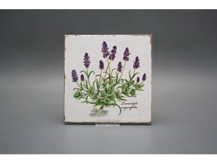 Sada obkladů Forli Blanco 15x15cm 6dílná Herbs Classic č. 1