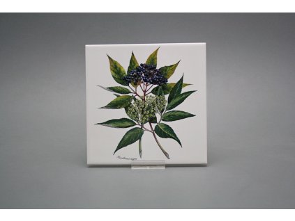 Sada obkladů 15x15cm 6dílná Herbs WM č. 1