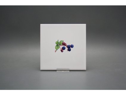 Obklad 15x15cm Lesní plody WM č. 1