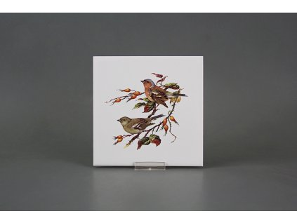 Obklad 15x15cm Pěnkava WL č. 1