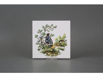 Obklad 15x15cm Koroptve WL č. 1