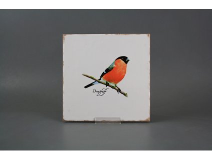 Obklad Forli Blanco 20x20cm Hýl č. 1