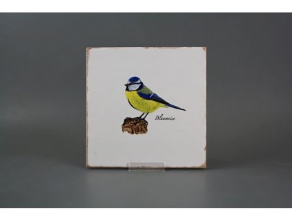 Obklad Forli Blanco 20x20cm Modřinka č. 1