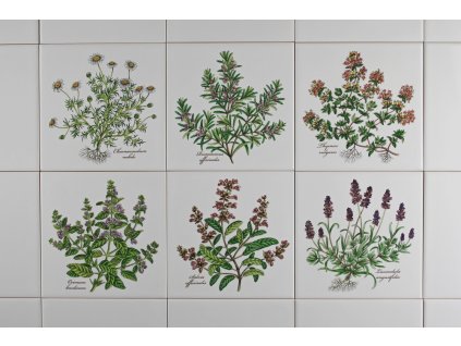 Sada obkladů 15x15cm 6dílná Herbs Classic WM č. 1