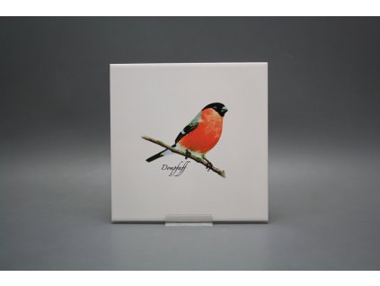 Obklad 20x20cm Hýl WL č. 1