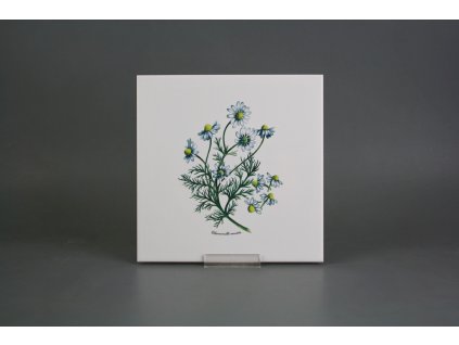 Sada obkladů 20x20cm 6dílná Herbs WL č. 1