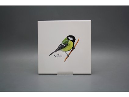 Obklad 20x20cm Koňadra WM č. 1